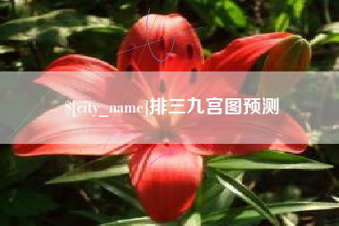 海北排三九宫图预测
