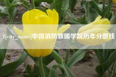 海北中国消防救援学院历年分数线