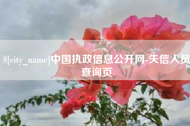 海北中国执政信息公开网-失信人员查询页
