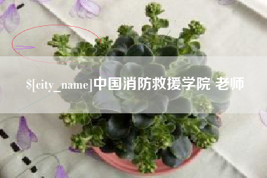 海北中国消防救援学院 老师