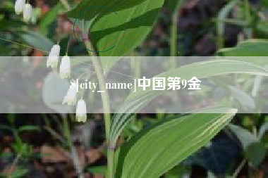 海北中国第9金