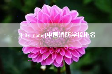 海北中国消防学校排名