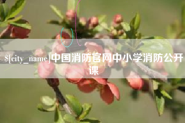 海北中国消防官网中小学消防公开课
