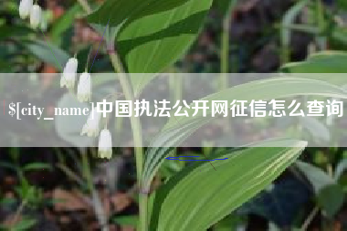 海北中国执法公开网征信怎么查询