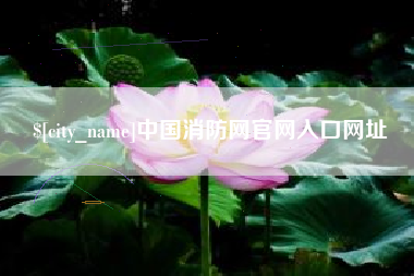 海北中国消防网官网入口网址
