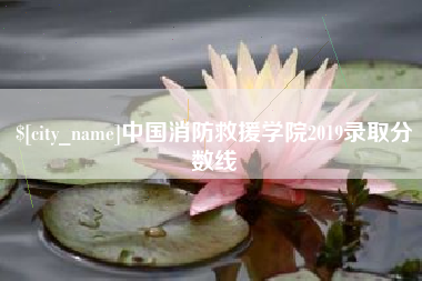 海北中国消防救援学院2019录取分数线