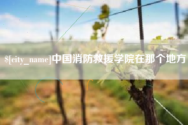 海北中国消防救援学院在那个地方