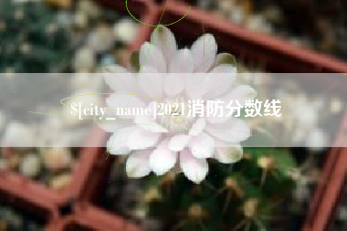 海北2021消防分数线