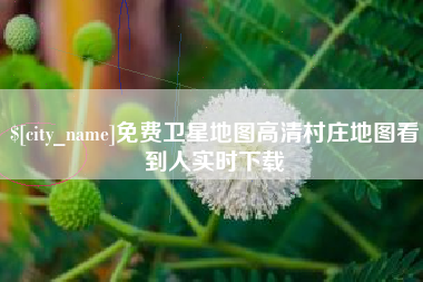 海北免费卫星地图高清村庄地图看到人实时下载