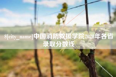 海北中国消防救援学院2020年各省录取分数线