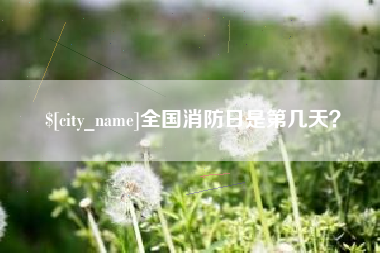 海北全国消防日是第几天？