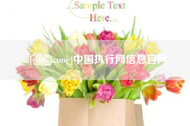 海北中国执行网信息官网