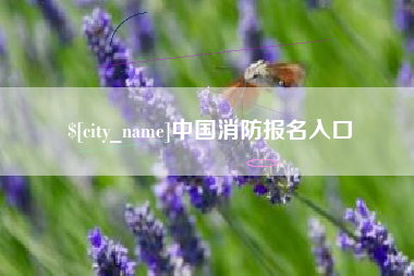 海北中国消防报名入口