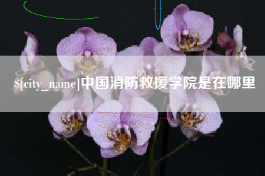 海北中国消防救援学院是在哪里
