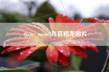 海北九宫格龙图片