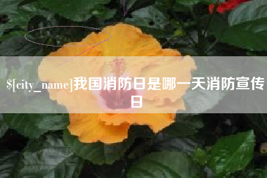 海北我国消防日是哪一天消防宣传日