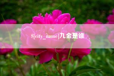 海北九金是谁