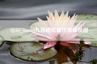 海北九宫格位置代表成员图