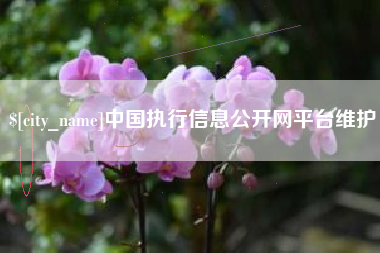 海北中国执行信息公开网平台维护