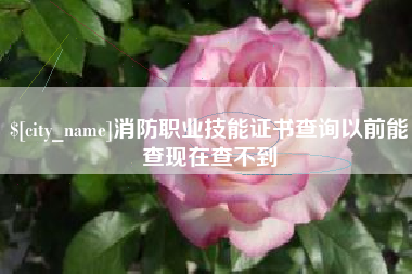 海北消防职业技能证书查询以前能查现在查不到