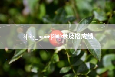 海北5000米及格成绩