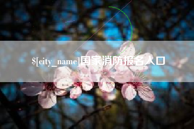 海北国家消防报名入口