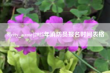 海北2025年消防员报名时间表格