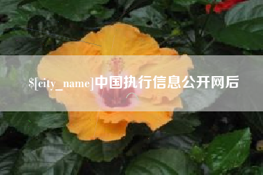 海北中国执行信息公开网后
