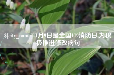 海北11月9日是全国119消防日,为积极推进修改病句