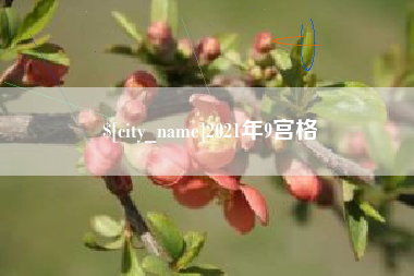 海北2021年9宫格