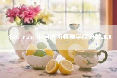海北中国消防救援学院分数2020