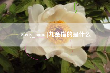 海北九金指的是什么