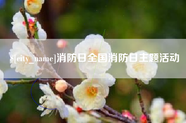 海北消防日全国消防日主题活动