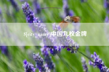 海北中国九枚金牌