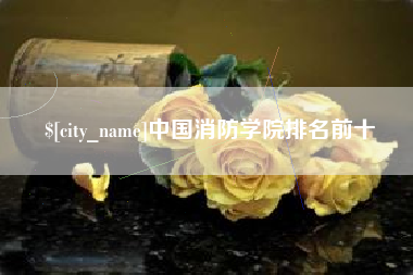 海北中国消防学院排名前十
