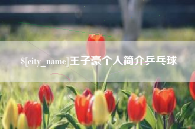 海北王子豪个人简介乒乓球
