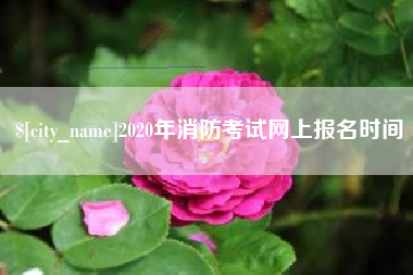 海北2020年消防考试网上报名时间