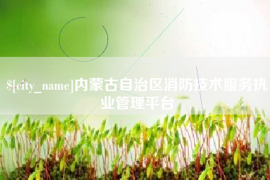 海北内蒙古自治区消防技术服务执业管理平台