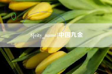 海北中国九金
