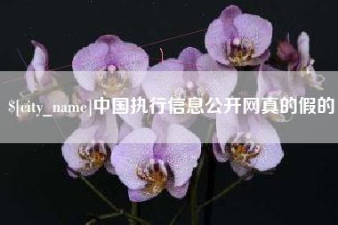海北中国执行信息公开网真的假的