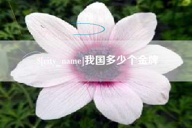 海北我国多少个金牌