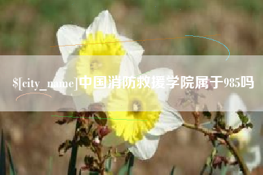 海北中国消防救援学院属于985吗