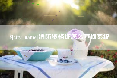 海北消防资格证怎么查询系统
