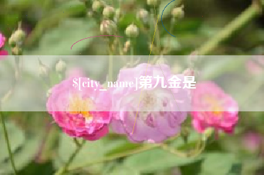 海北第九金是