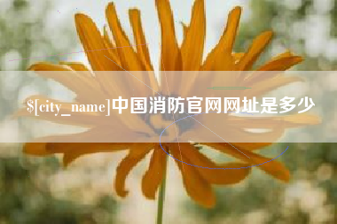 海北中国消防官网网址是多少