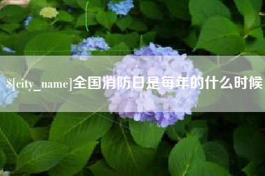 海北全国消防日是每年的什么时候