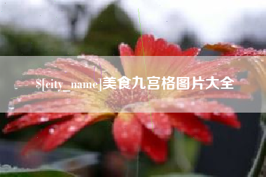 海北美食九宫格图片大全