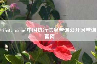 海北中国执行信息查询公开网查询官网