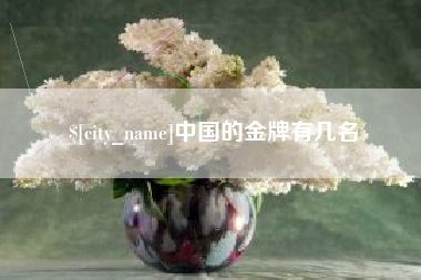 海北中国的金牌有几名
