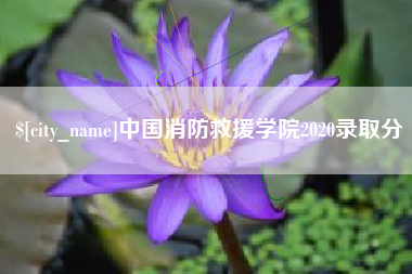海北中国消防救援学院2020录取分